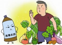 如何正确选择适合的蔬菜？